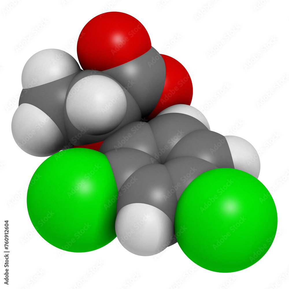 Dichlorprop (dichlorprop-p) herbicide molecule. Dichlorprop (dichlorprop-p) herbicide molecule.