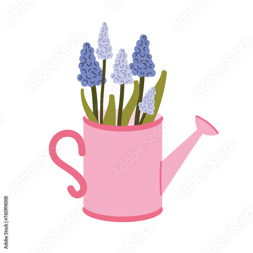 Vector watering can with flowers. Blue muscari flower. Spring theme. Hand drawn style. White isolated background. © Hanna Perelygina