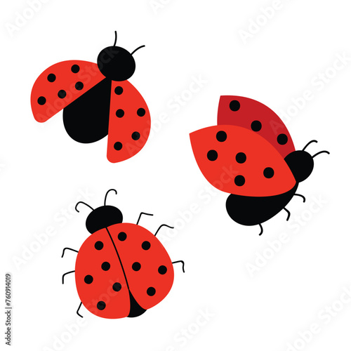 Set of cute ladybugs. Vector illustration with red ladybug. Hand drawn style. White isolated background. © Hanna Perelygina
