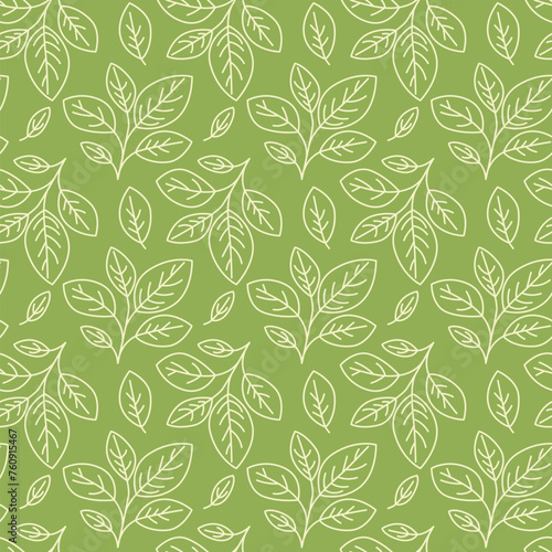 Hand drawn floral pattern vector design. Simple ornament with plant and leaf.