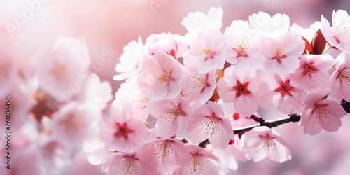 Cluster of Pink Flowers on Branch