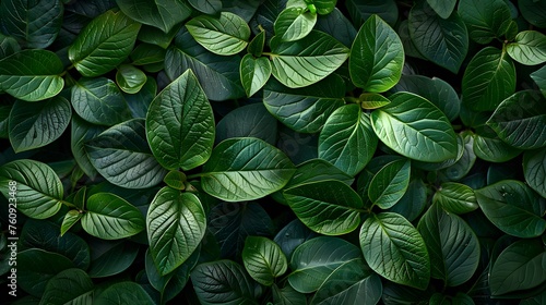 A nature background featuring an abstract green leaf texture.