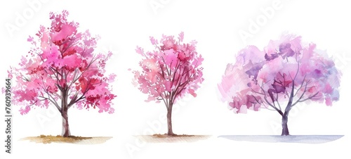 Set of watercolor pink trees on white background