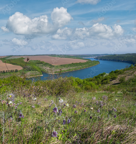 Amazing spring view on the Dnister River Canyon with Pulsatilla patens or Prairie Crocus or Pasque flower flowers. This place named Shyshkovi Gorby,  Nahoriany, Chernivtsi region, Ukraine. photo