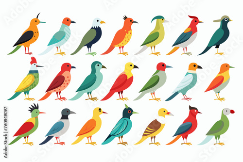 Various species wild birds  vector art illustration 