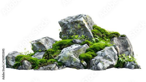 Green moss and rocks isolated on white background and texture 