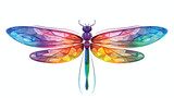 Whimsical dragonfly with translucent wings illustra