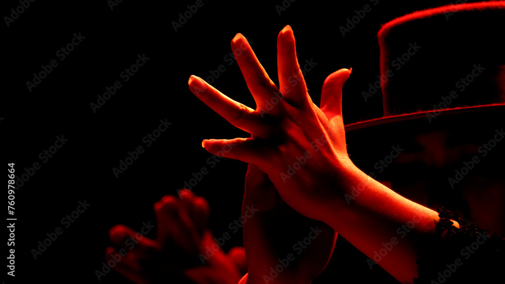 Performance of the flamenco dance Performance of the flamenco dance