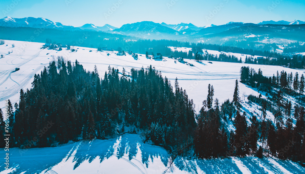 View at Western Tatra Mountains at winter - obrazy, fototapety, plakaty 