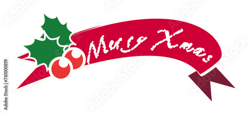 クリスマスリボンひいらぎとなんてん