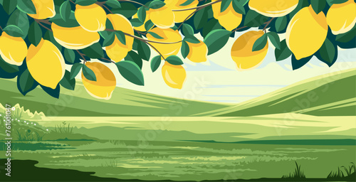 view of lemon plants spreading in a meadow with hills in the background