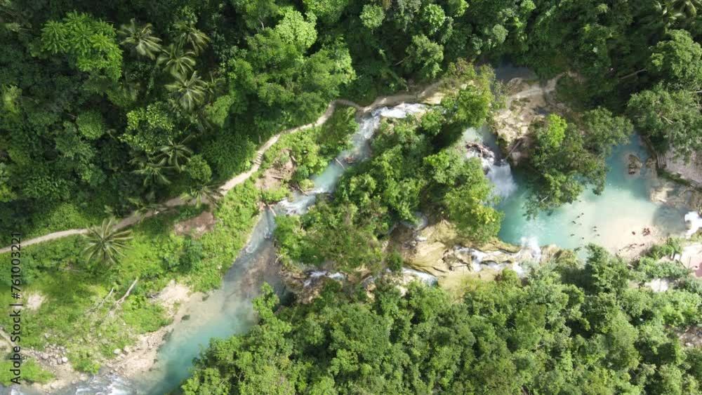 Matutinao River Flowing Through Lush Forest Feeding Kawasan Falls, Aerial Top Down Matutinao River Flowing Through Lush Forest Feeding Kawasan Falls, Aerial Top Down