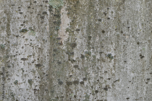 Metal with fungus growing on it