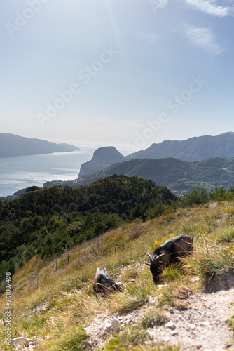 goat eating grass on the top of Monte Bestone overlooking Garda Lake on a sunny day  photo