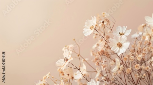 Aesthetic minimalist design for social media content  with boho style background. with neutral pastel colors and natural floral elements. Minimalist and aesthetic design.