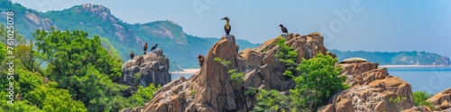 Cormorants Perching on Rocky Coastal Cliffs with Clear Blue Sky and Sea in the Background