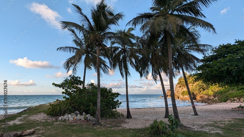 Obraz premium LE GOSIER (Guadeloupe)