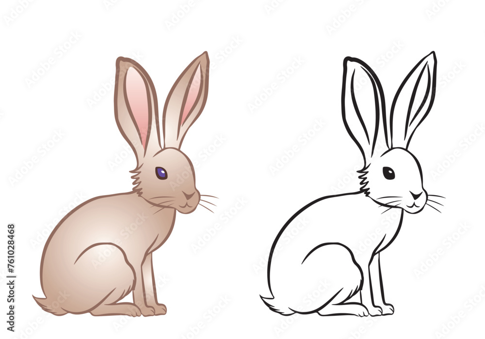 Cute rabbit isolated on white background. One illustration in color and the other in black and white. Animal symbol of Easter isolated on transparent background. Cute rabbit isolated on white background. One illustration in color and the other in black and white. Animal symbol of Easter isolated on transparent background.