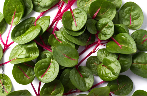 Malabar spinach or Ceylon spinach, cut out on white background photo