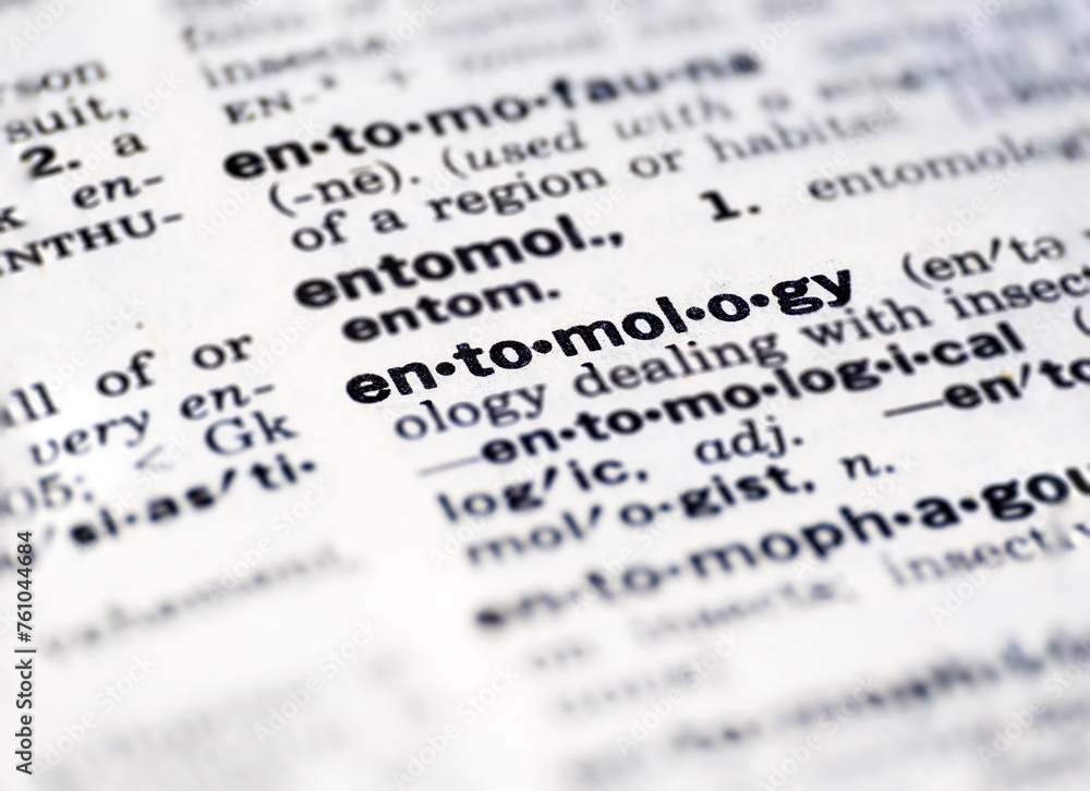 closeup of the word entomology in the dictionary closeup of the word entomology in the dictionary
