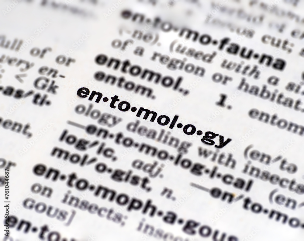closeup of the word entomology in the dictionary closeup of the word entomology in the dictionary