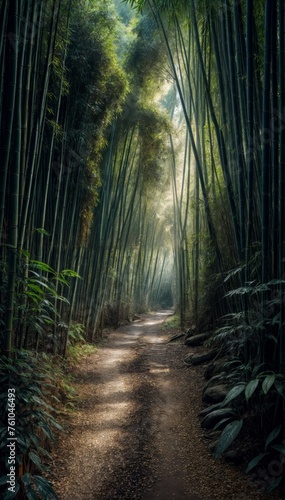 Arashiyama bamboo grove in Kyoto, Japan.