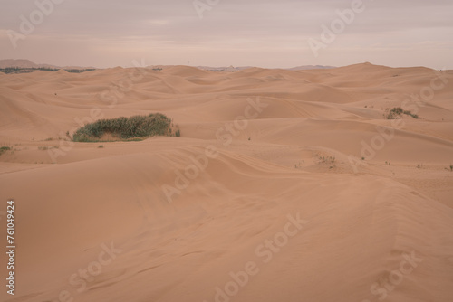 Horizontal image of the grass growing in the desert of Inner Mongolia  China