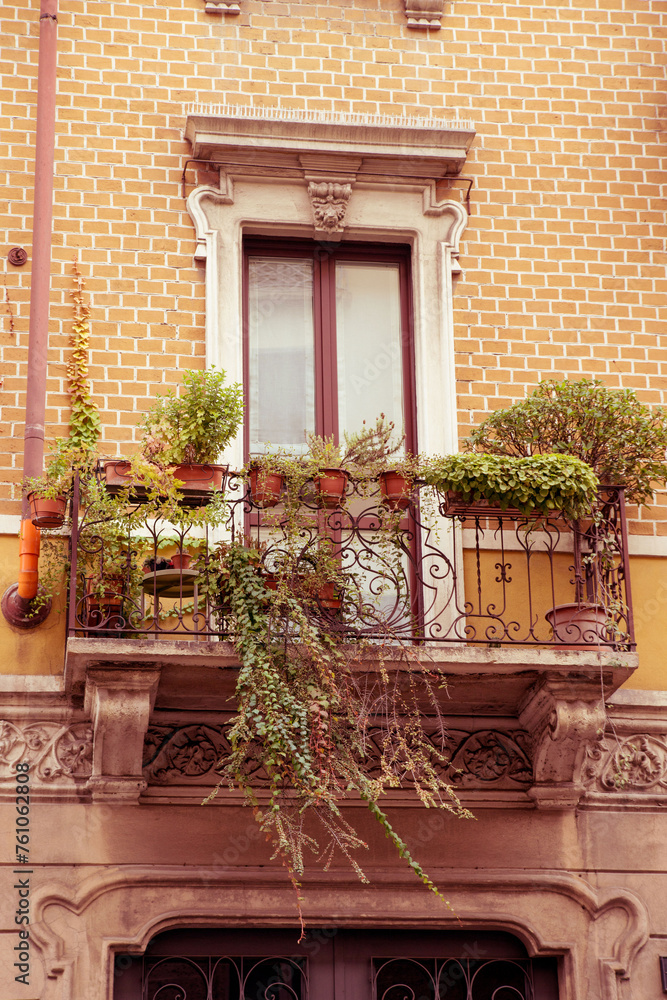 landscaping of the balcony. a balcony with plants. Urban gardening landscaping design. decorative patterns for windows. a combination of plants for decorative planters. landscaping of facades.