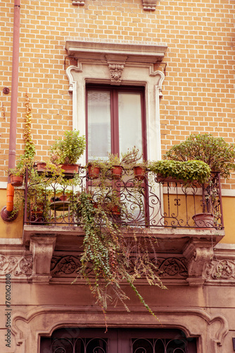 landscaping of the balcony. a balcony with plants. Urban gardening landscaping design. decorative patterns for windows. a combination of plants for decorative planters. landscaping of facades.
