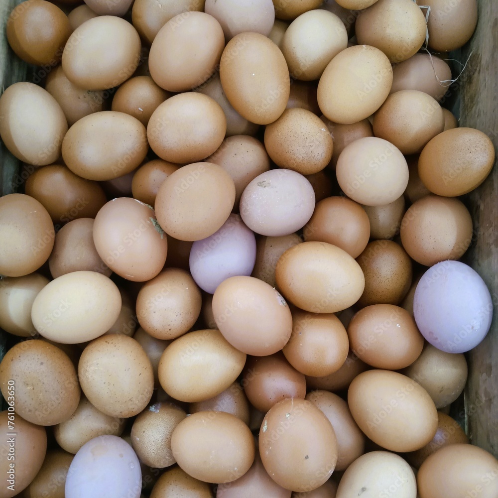 eggs on the market eggs on the market