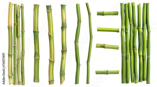 Green bamboo sticks  set sharp stake isolated on white  side view