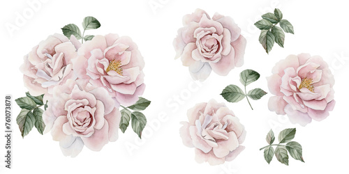 Composition of pink rose hip flowers with leaves and isolates. Victorian style rose. Floral watercolor illustration photo