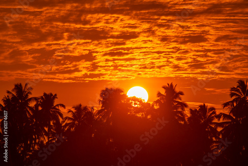 Vibrant orange sky sunset with silhouette of palm trees