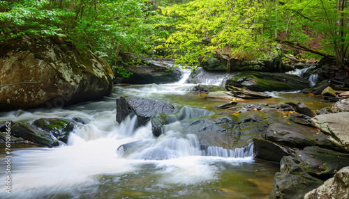 Great Smoky Mountains Waterfall