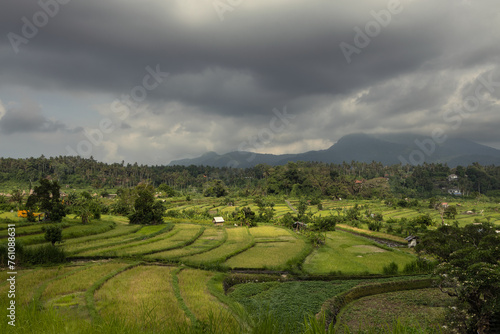 Maha Ganga paddy ricefiled terraces in rural part of Bali island, Karangasem district. photo