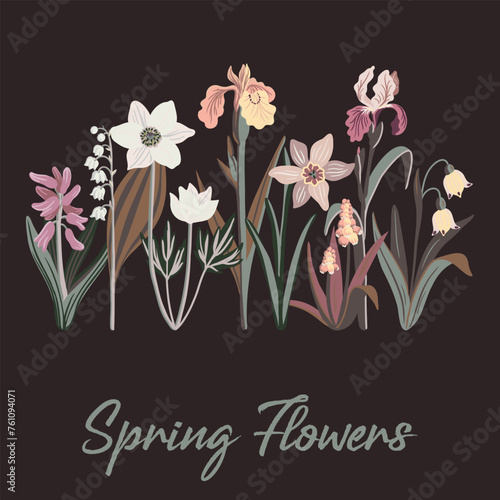 Spring flowers slogan and bouquet of wild flowers, vector drawing plants at white background, hand drawn botanical illustration photo