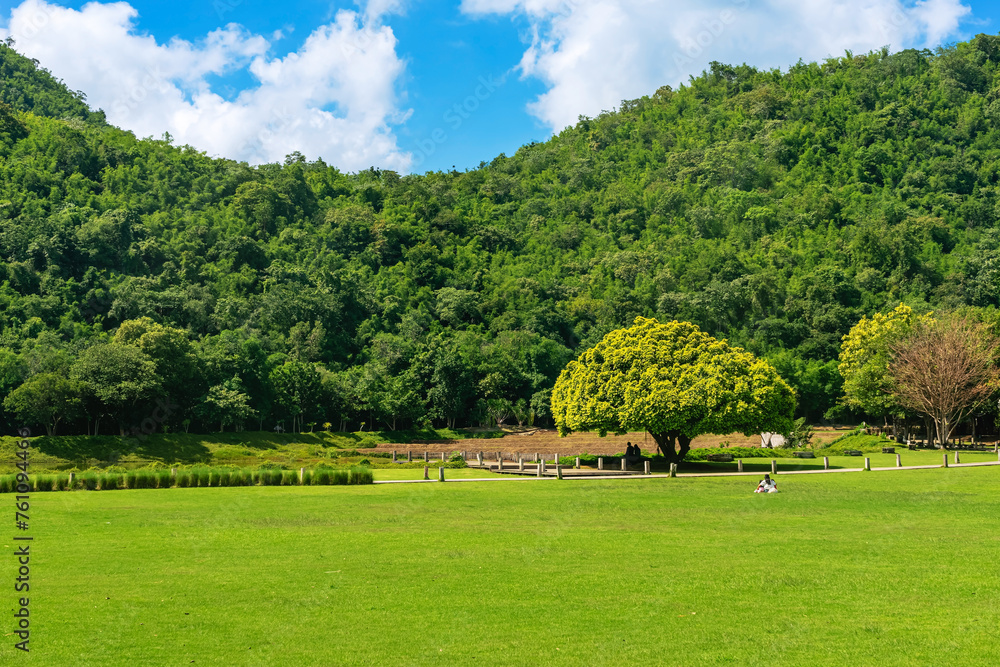 Fototapeta premium Beautiful view of nature with green grass, lush trees, mountain and sky. Beautiful landscape, fresh trees forest, green grass field, scenery valley in the mountains, Cloud blue sky, Green Landscape.