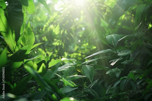Immerse yourself in the tranquility of a forest glade with a nature background, featuring dappled sunlight filtering through lush green foliage, Generative AI