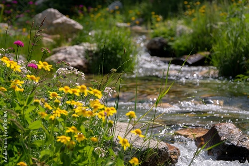 Experience the soothing sounds of a babbling brook in a meadow with a nature background, featuring wildflowers swaying gently in the breeze, Generative AI © ManusiaIkan