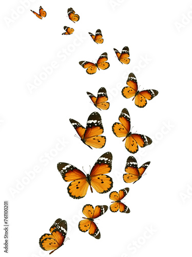 Set of orange butterflies on white background.