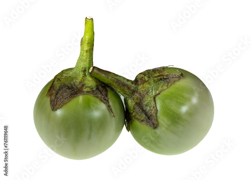 Eggplant – Thai White