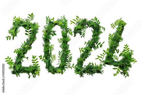    2024   made of green leaves isolated on white background first person view realistic daylight