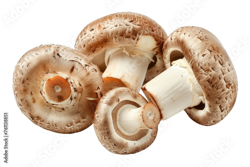 Fresh whole champignon mushrooms isolated on white background first person view realistic daylight