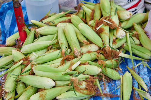 Fresh sweet corn for sale at market