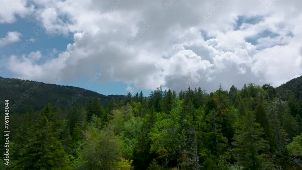 Flying over pine trees discovering clouds and valley Flying over pine trees discovering clouds and valley
