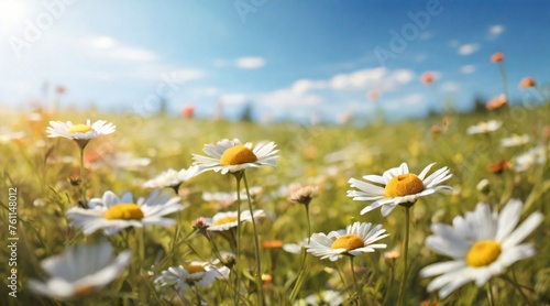 summer meadows bathed in sunlight, with lots of wildflowers, especially daisies, against a bright blue sky. generative ai