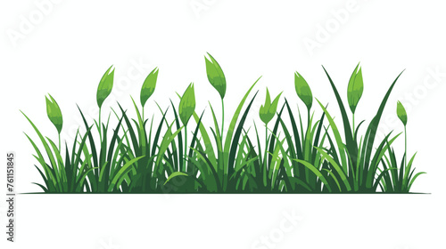 Grass Icon In Trendy Design Vector flat vector  © Jasmin