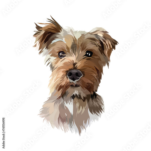 vector dog portrait illustration  (ID: 761156498)