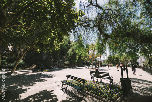 Trees in Park at cerro santa lucia Santiago of Chile