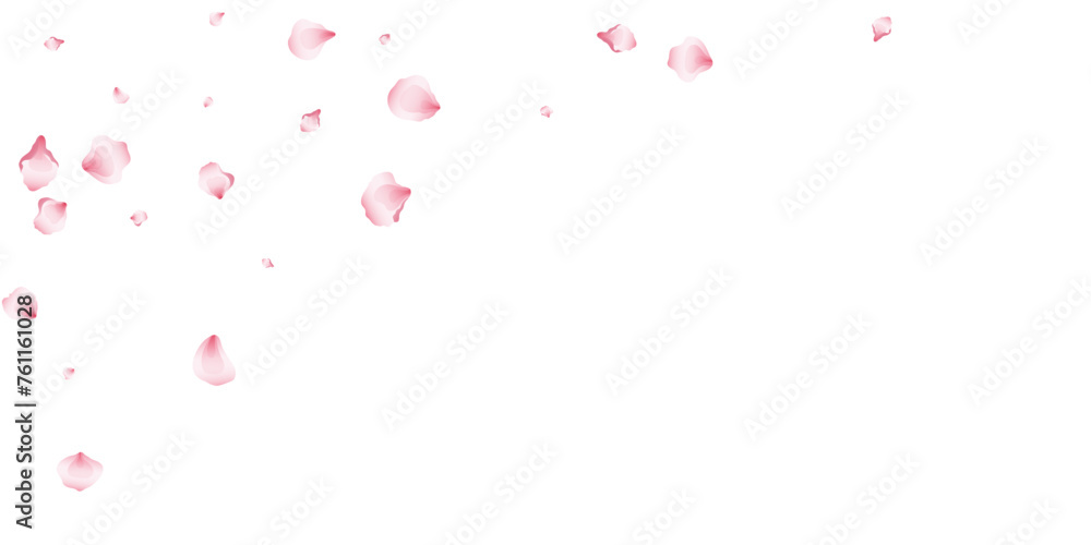 Flying pink petals transparent background. Beautiful floral overlay with lots of rose petals. Flying pink petals transparent background. Beautiful floral overlay with lots of rose petals.